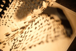 Julian Vogel – Cie. unlisted