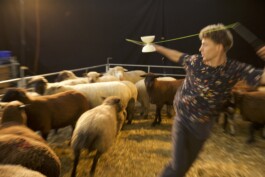 Julian Vogel – Cie. unlisted